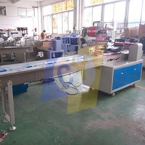 CY-450D 600D Rotary pillow packing machine