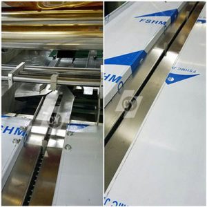 CY-450W CY-600W Reciprocating pillow packing machine