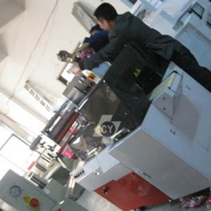 CY-450W CY-600W Reciprocating pillow packing machine